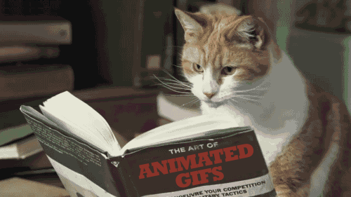 reading-cat-reading-gifs.gif